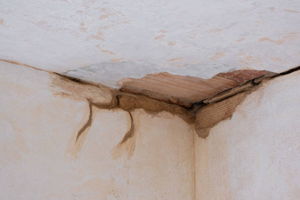 Best Local water damage restoration  in Saratoga Springs, UT