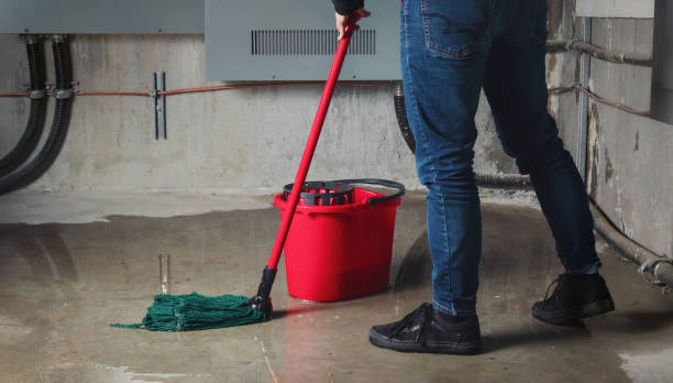  Saratoga Springs, UT Water damage restoration Pros