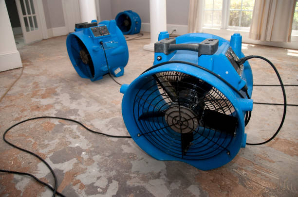 Best Carpet water damage restoration  in Saratoga Springs, UT