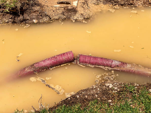 Best Water damage restoration company  in Saratoga Springs, UT